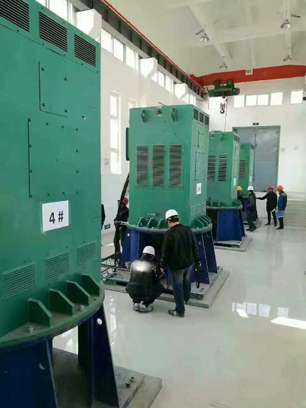 国营乐光农场某污水处理厂使用我厂的立式高压电机安装现场生产厂家