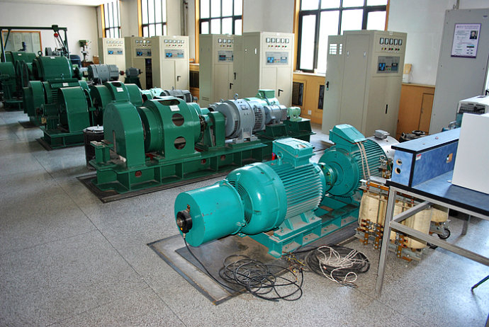 国营乐光农场某热电厂使用我厂的YKK高压电机提供动力